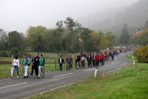 Brestovica_131027_023