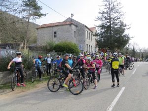 IMG_3274