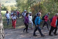 Brestovica_191027_017-Media