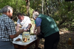 Brestovica_191027_076-Media