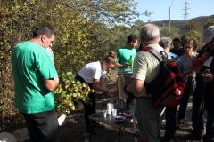 Brestovica_191027_080-Media